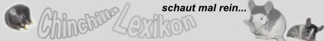 Hier finden Sie alles rund um das Chinchilla