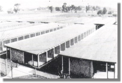 Chinchilla Farm