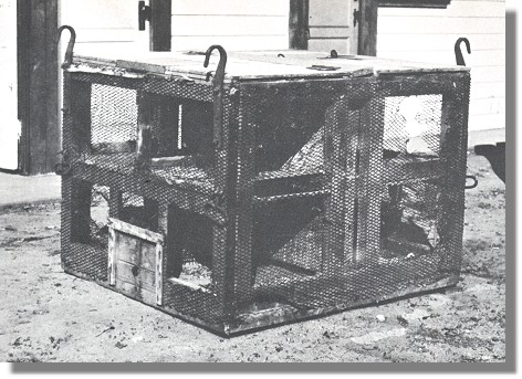 Chinchilla Transportbox Diese Box befindest sich nun im Chinchilla-Museum USA