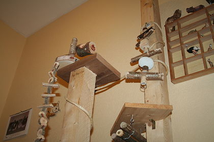 Kletterturm