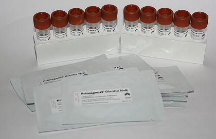 Giardien Schnelltest auf Giardia duodenalis Giardia duodenalis Schnelltest