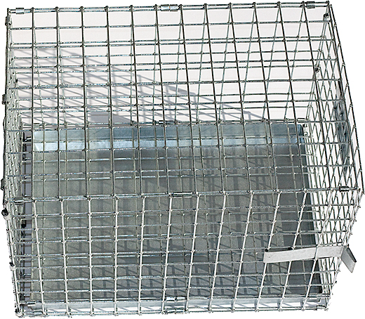 Spezieller Transportkäfig von Chinchilla Züchtern