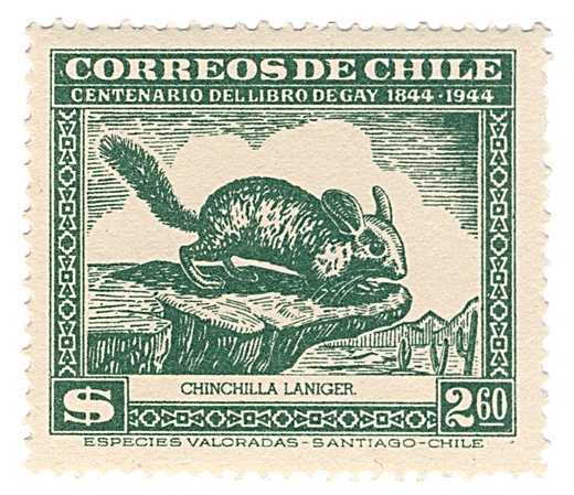 Chinchilla Briefmarken - Chinchilla Stamps