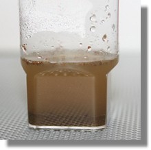 Ready for microscopy